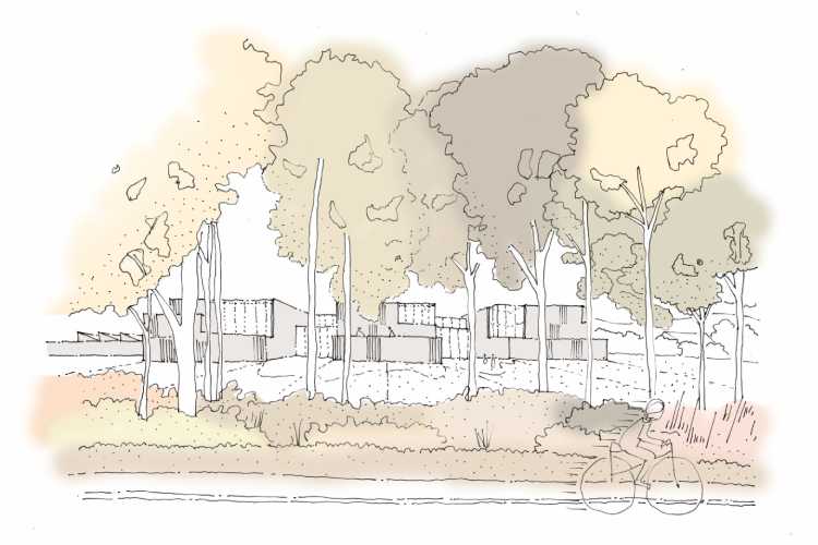 View of the high school through trees