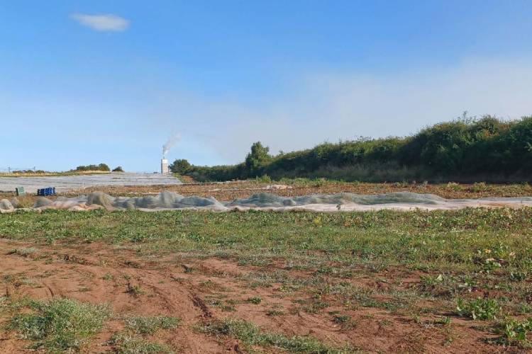 Field on edge of Dunbar proposed as site for theSpace leisure hub pic courtesy ELC planning portal