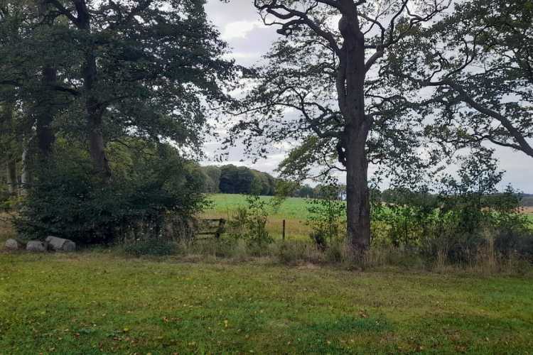 Open countryside off Leyden Road near Kirknewton which could soon be covered in solar panels. Copyright West Lothian Council