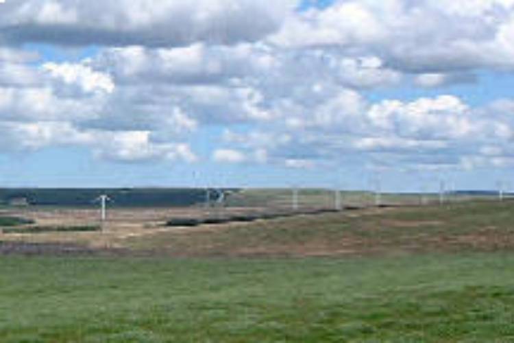 images_7_