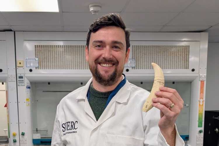 Dr Kieran Tierney holds a whale tooth at SUERC